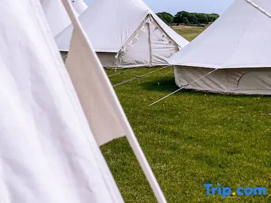 Nine Yards Bell Tents at the TT - Douglas