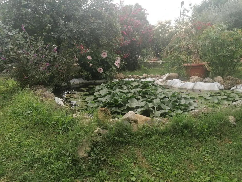 Casa Delle Rose Appartamento Gelsomino