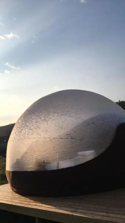 La bulle de Mont