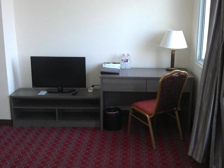 The Palm View Hotel