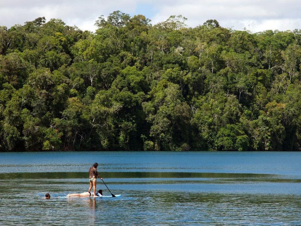 Chambers Wildlife Rainforest Lodges