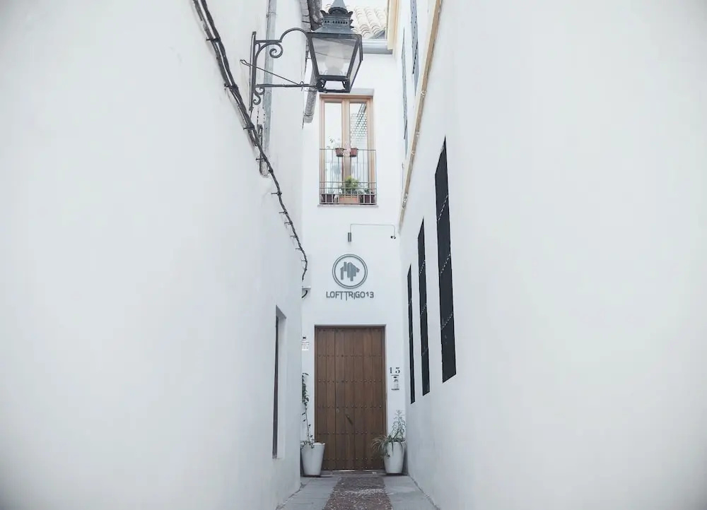 Lofts Trigo 13