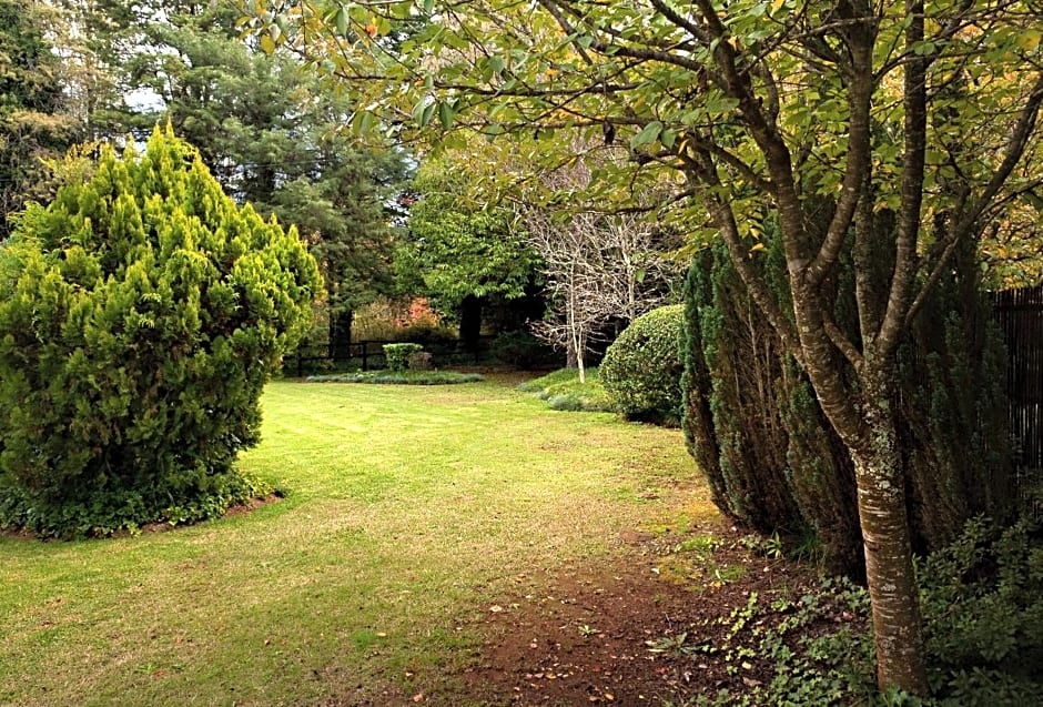 Birches Cottage & the Willows Garden Room