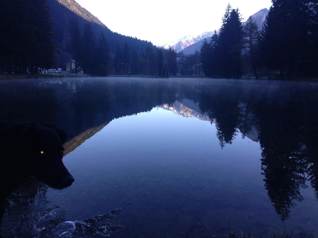 Chalet Les Frenes