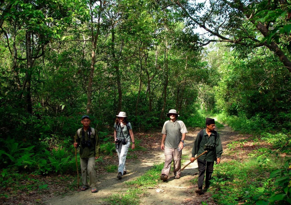 Park Safari Resort