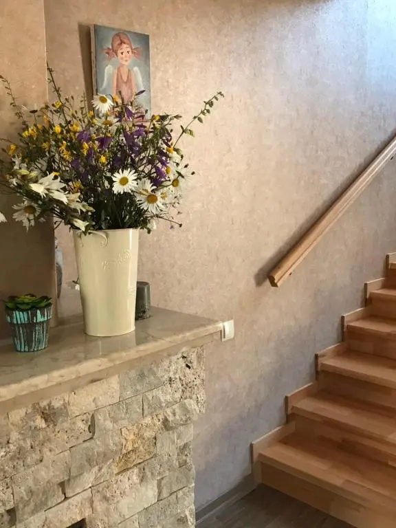 Bakuriani Cozy Villa #4