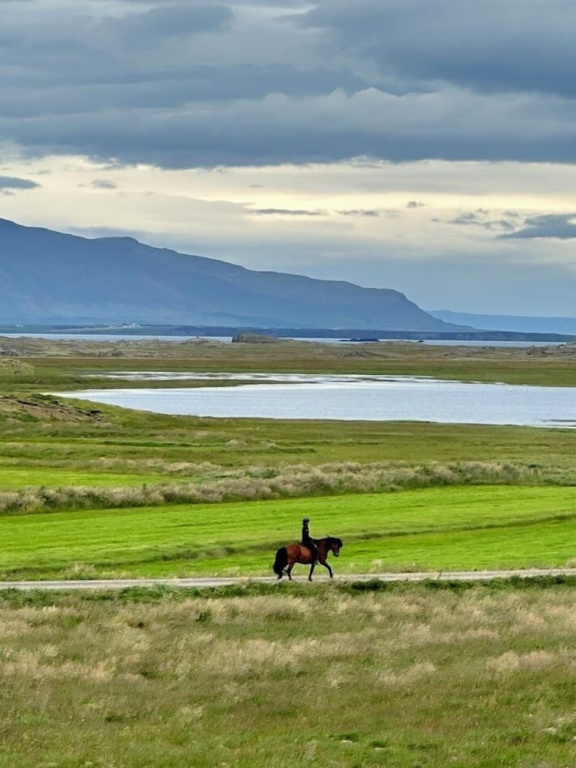 Selið Farm Stay - Family run guesthouse close to Borgarnes