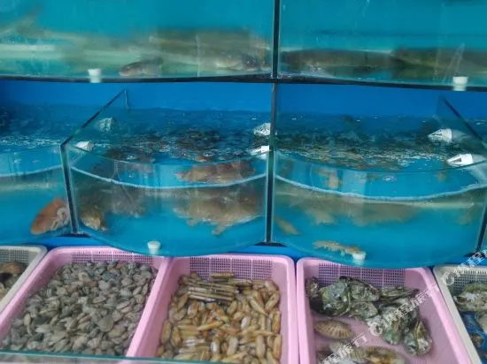 listen to the sea Homestay