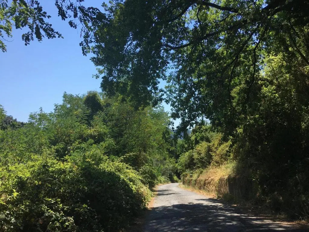 Casa La Wanda - Camaiore, Toscana - 2 Br & Terrace