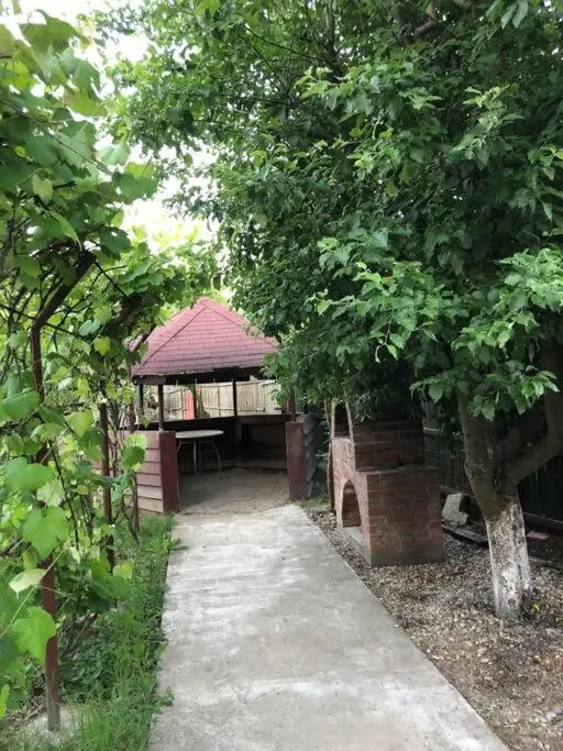 Vila Alma Pitesti