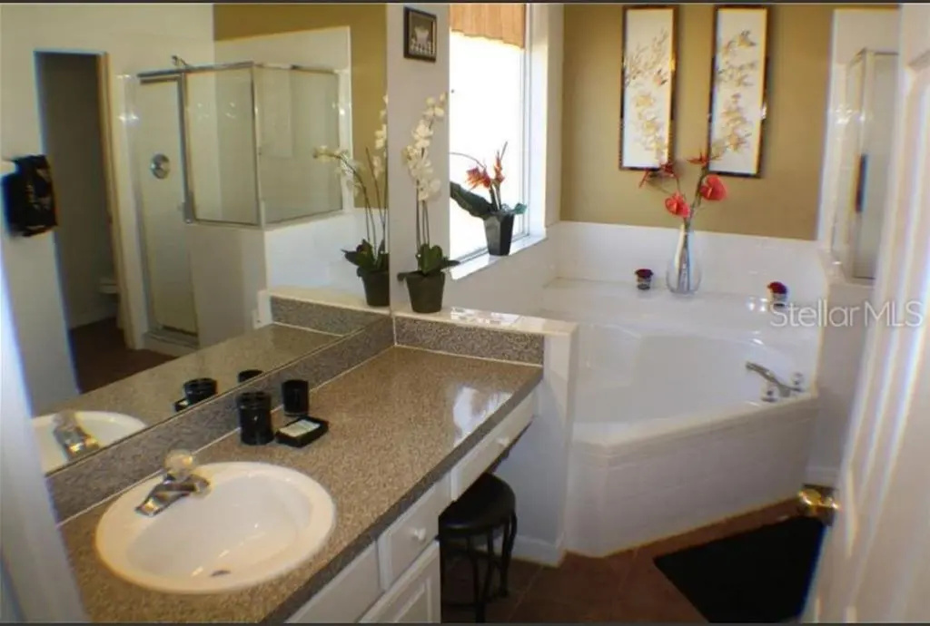 7 Bedroom, 4.5 Bath & Enclosed Pool. Lake View and 3 Miles to Disney!