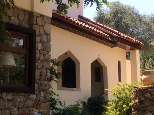Tysons Manor