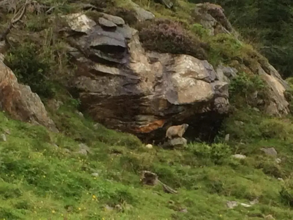 Berghaus Außergschlöß