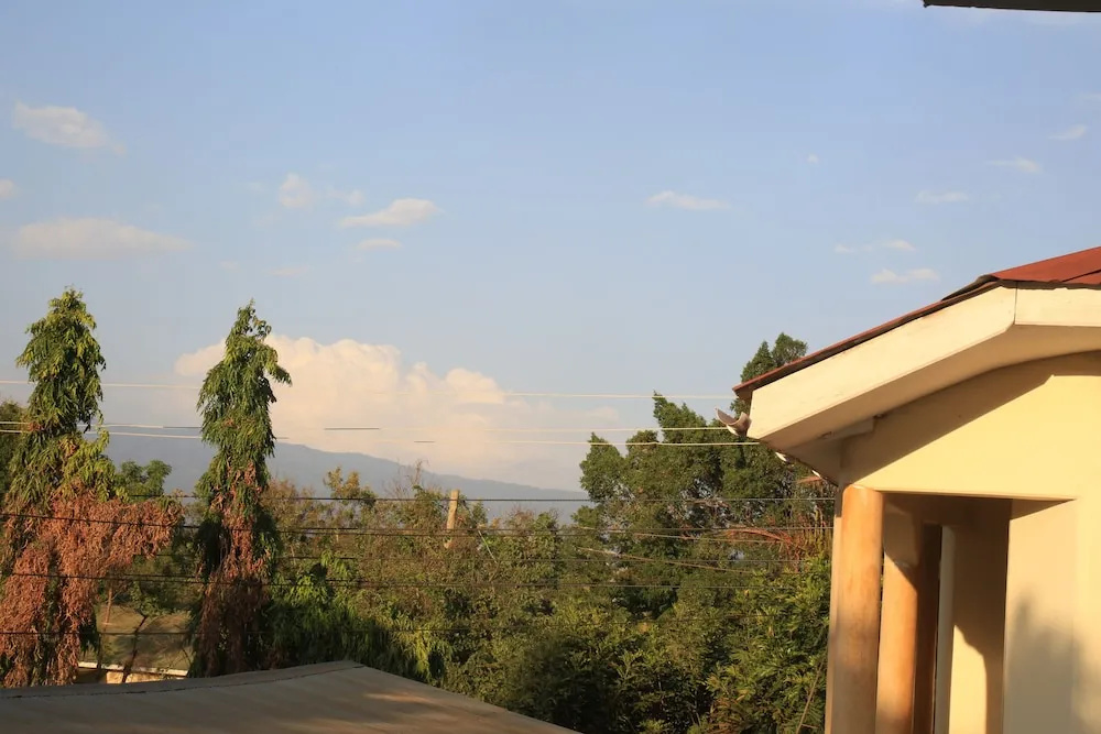 The Paradise In Backpackers