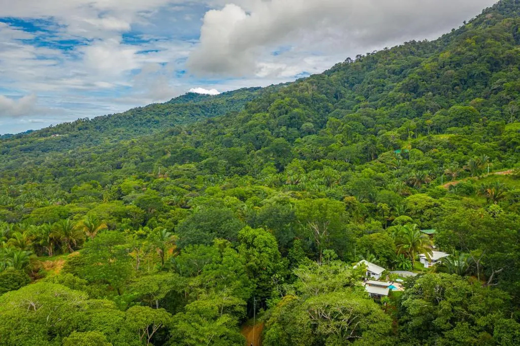 The Sutton - Boutique Jungle Experience