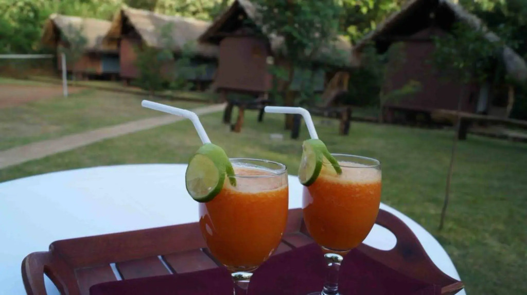 Athgira River Camping - Udawalawe