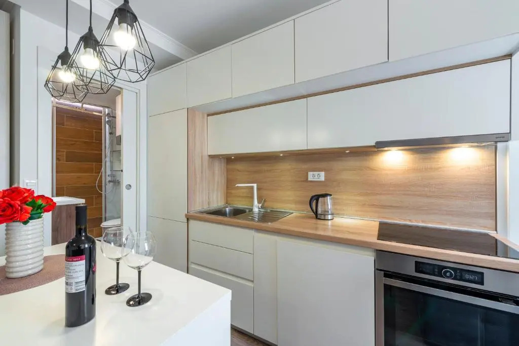 Modern studio apartment Lučić
