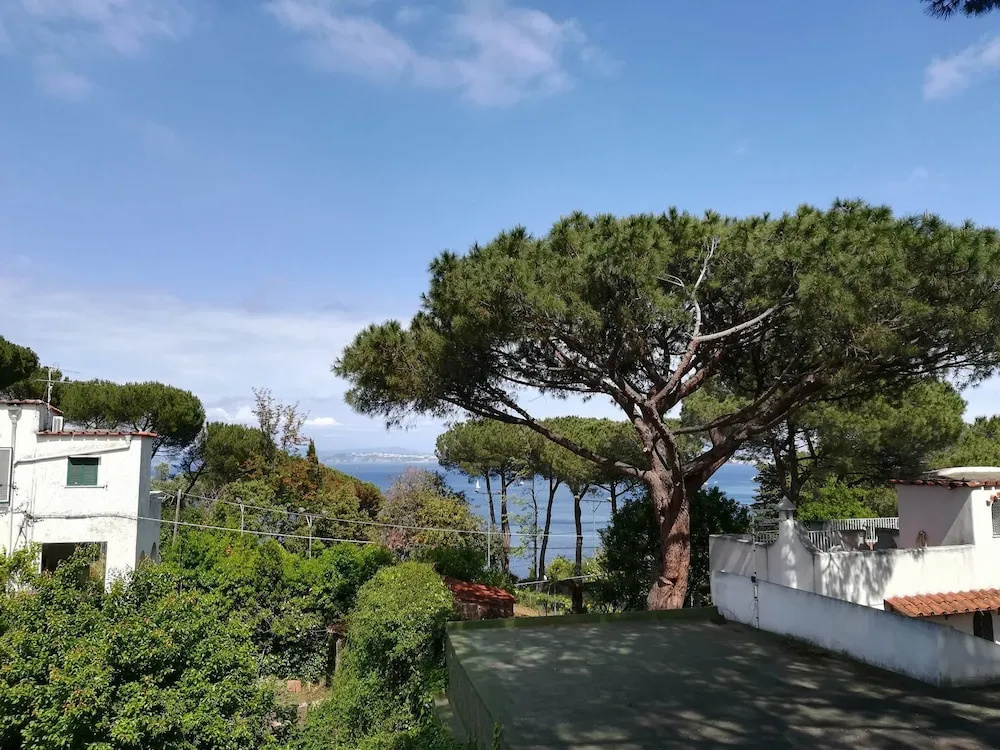 B&B Villa Cinque Pini