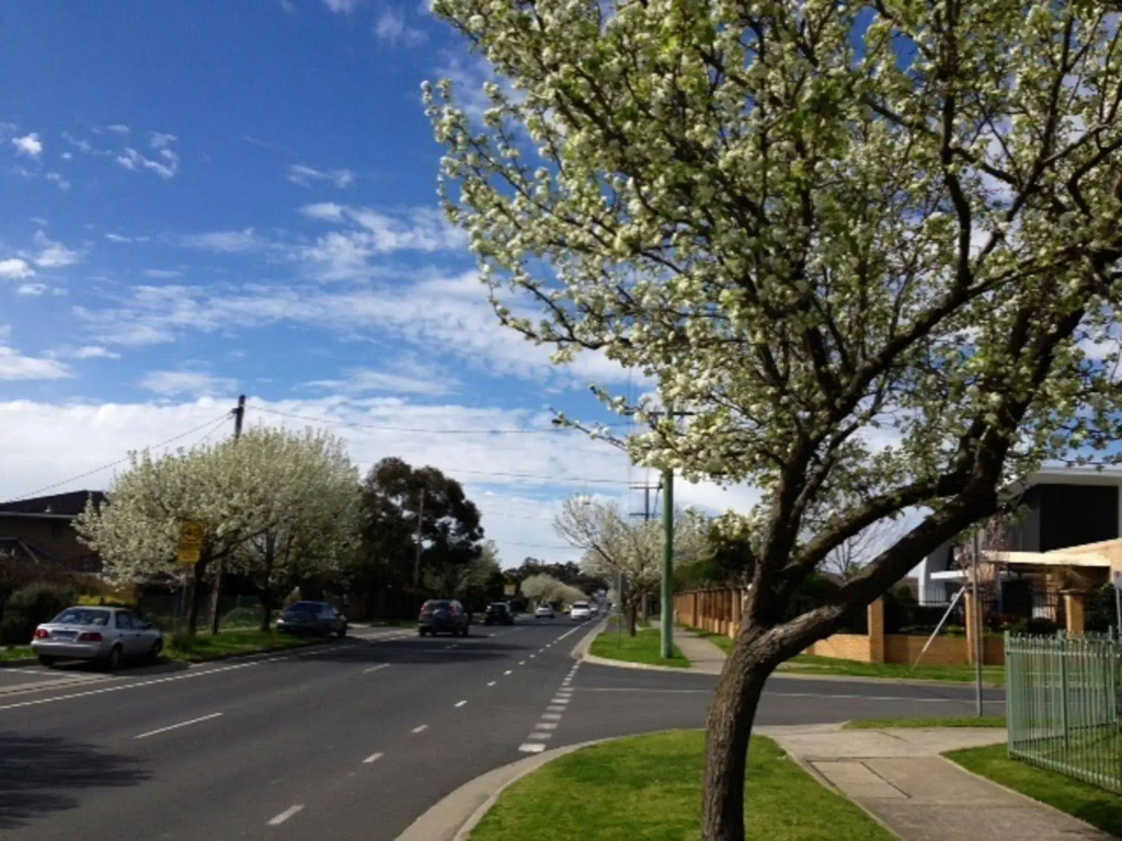 Australian Home Away @ East Doncaster George