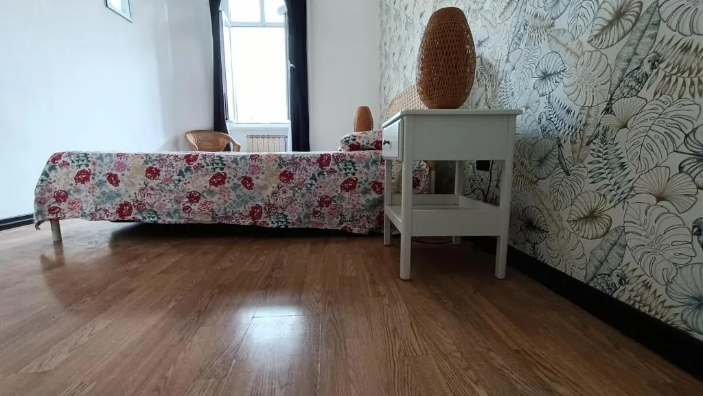 Colosseo Kokedama rooms