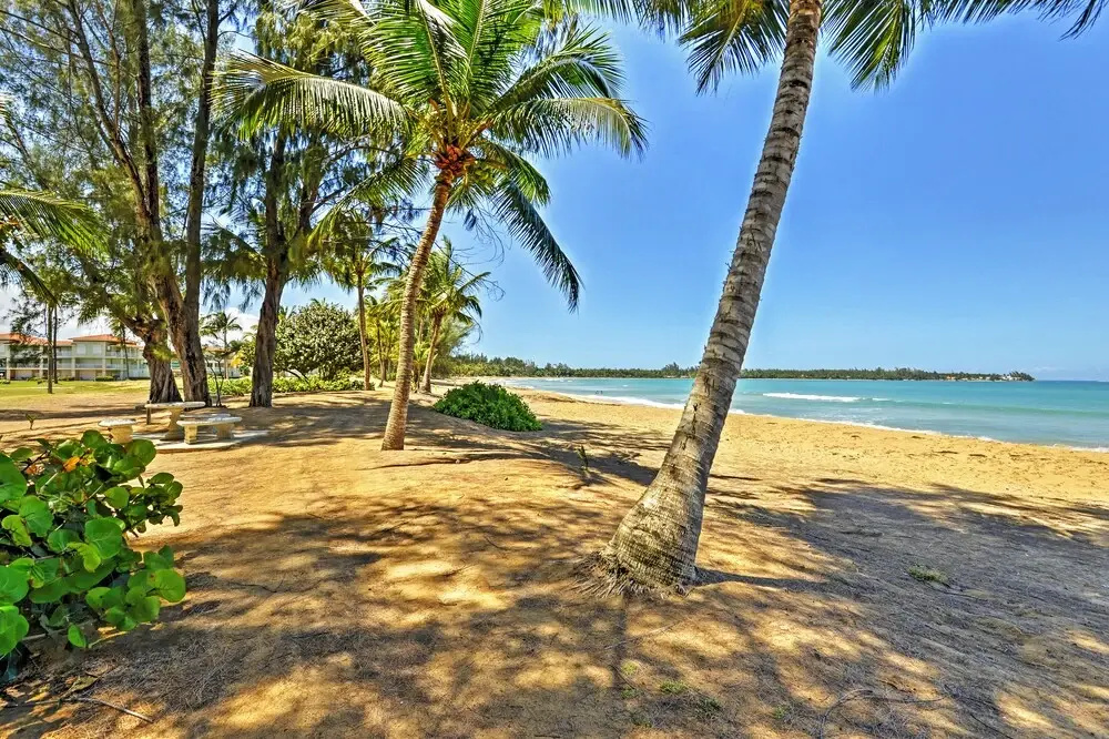 Rio Grande Resort Condo w/ Ocean Views & Patio!