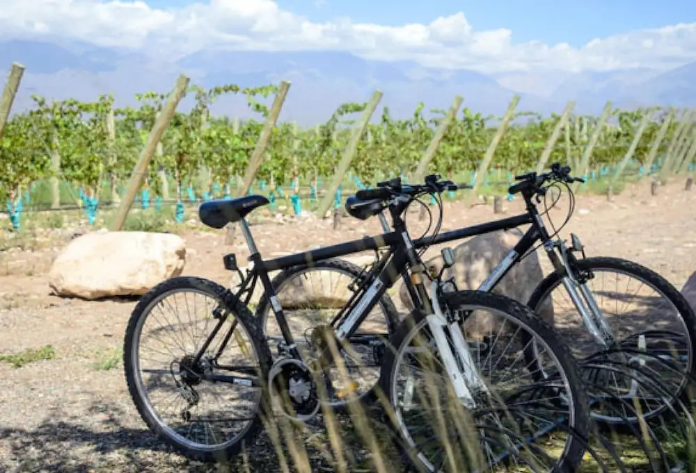 Casa de Huéspedes Bodega Gimenez Riili