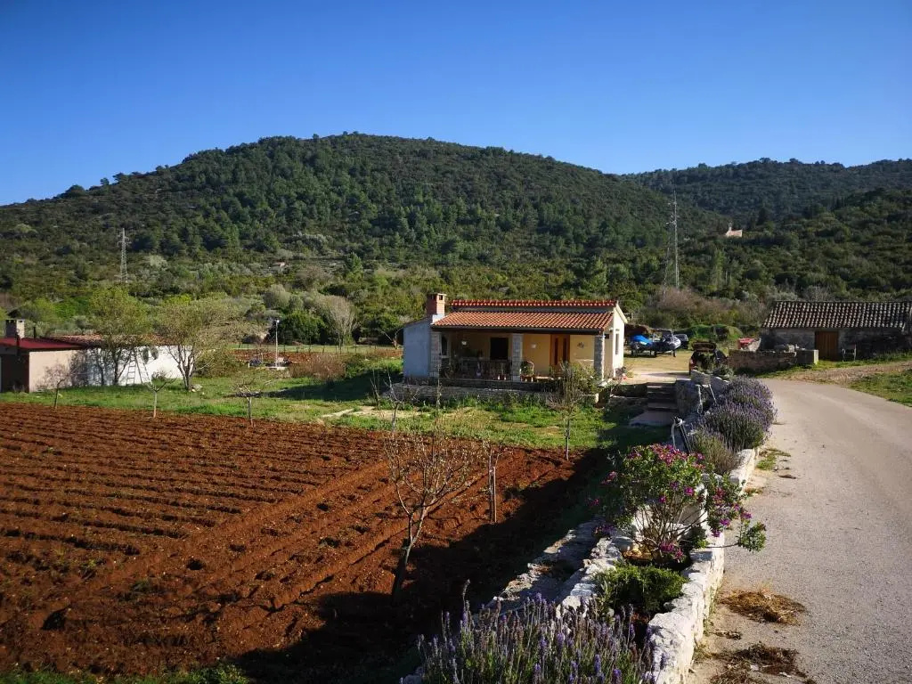 Holiday Home Cvitka