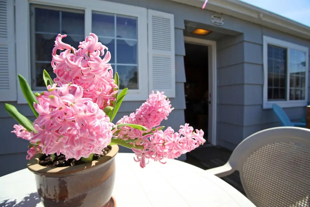 Seaside Governor's House Vacation Rental