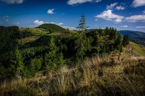 Pensiunea Viorica
