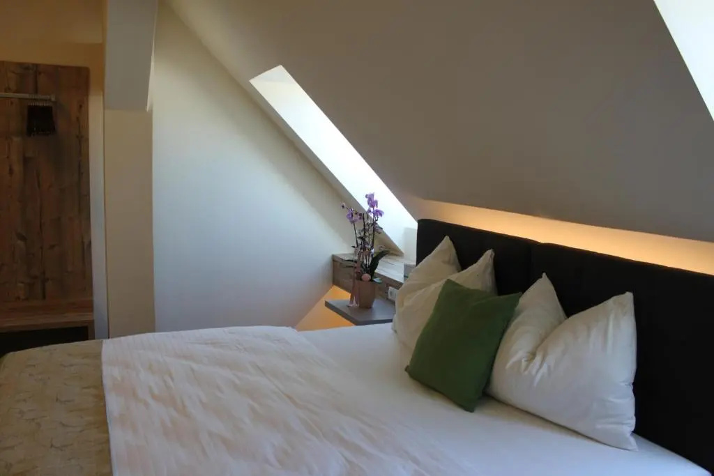 Hotel Braun