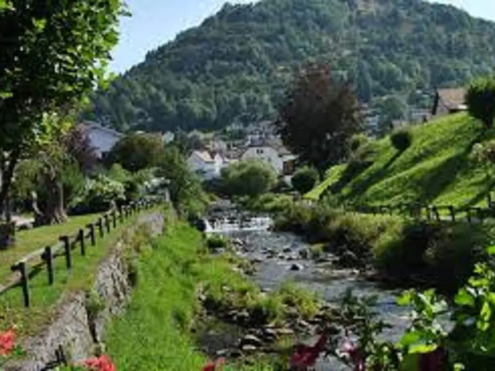 Traditional Chalet in Sapois Vosges With Balcony