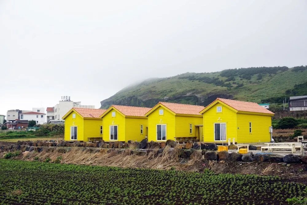 Udo Sunflower Pension