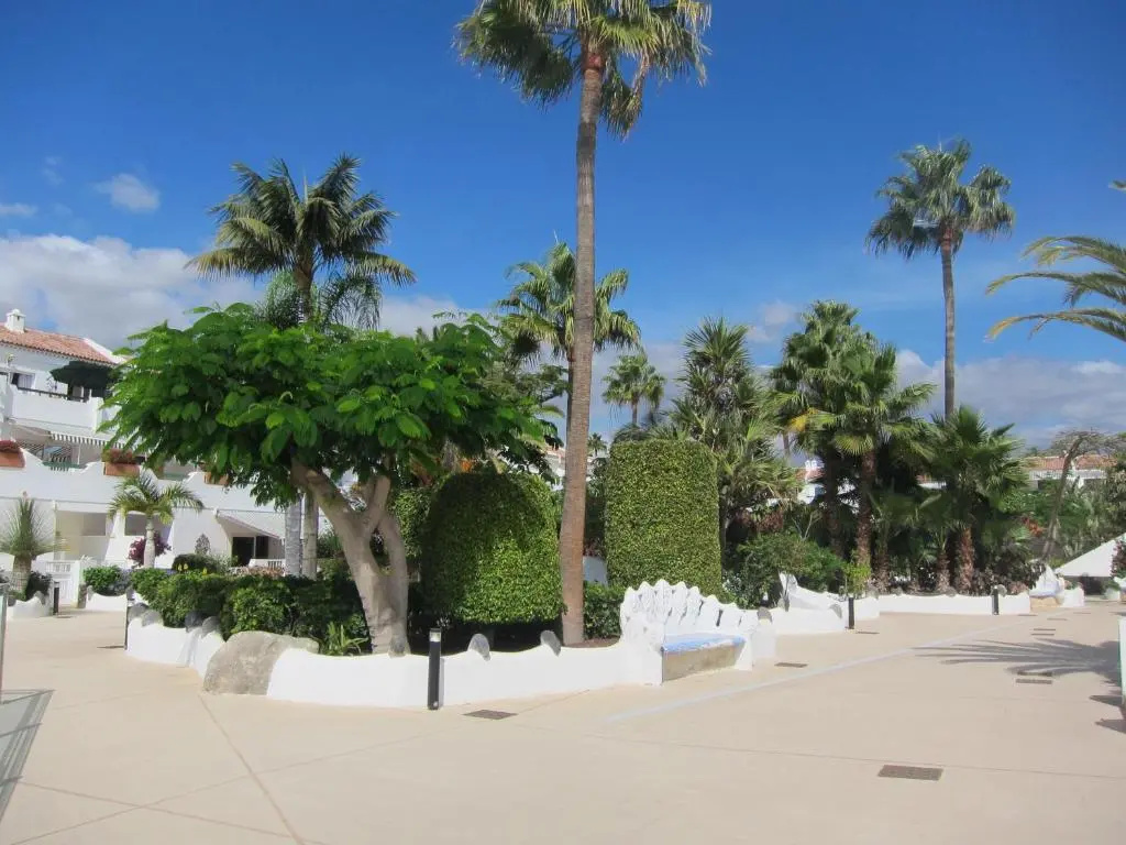 Mi Casa Es Tu Casa En Tenerife