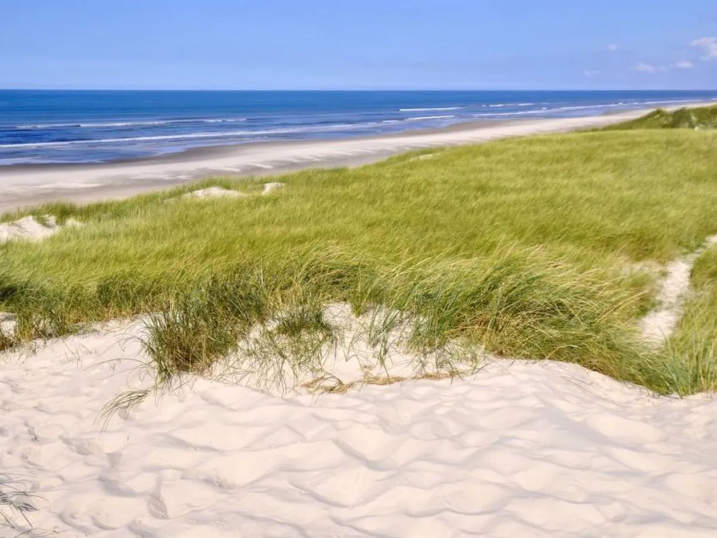 "Kenai" - 700m from the sea in Western Jutland