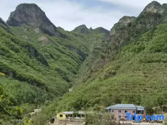 Beijing Baicaopan Xipo Homestay