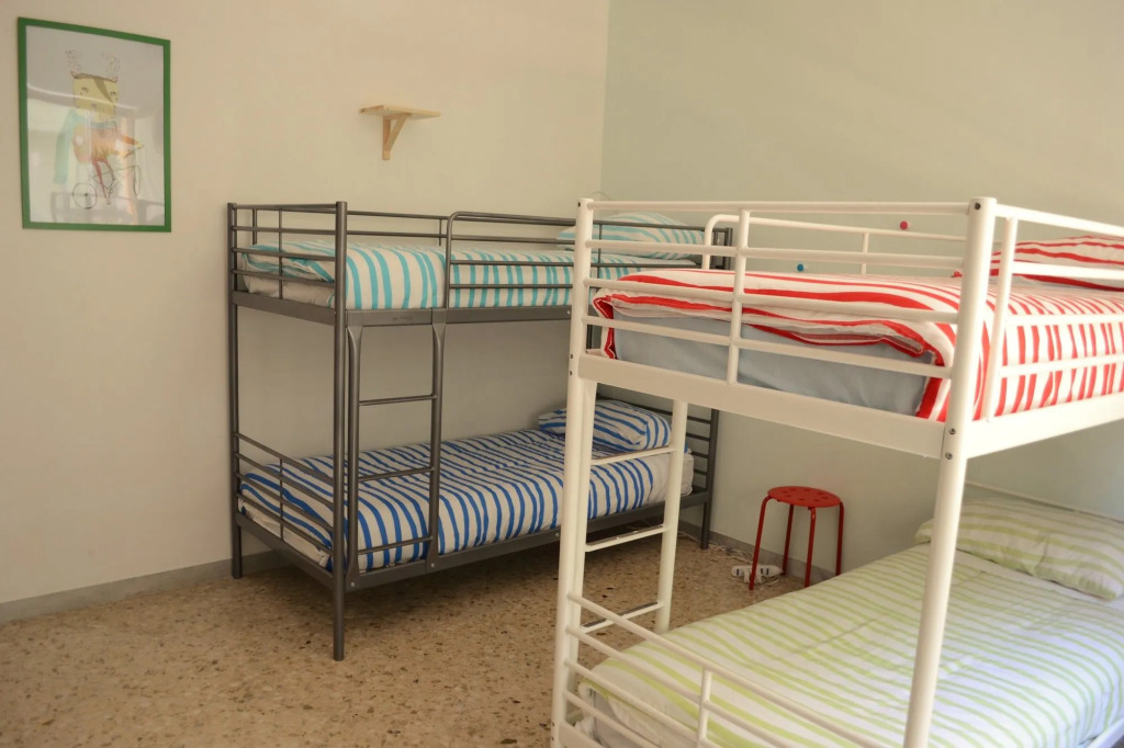 Olive Tree - Hostel