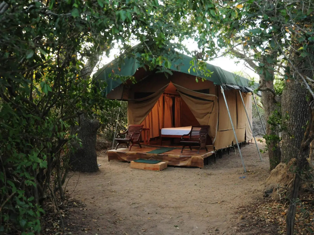 Yala Bear Safari Camp Tents