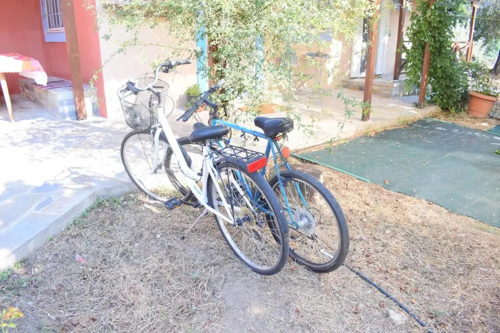 Κτήμα Παπαδημητρίου, Papadimitriou retreat