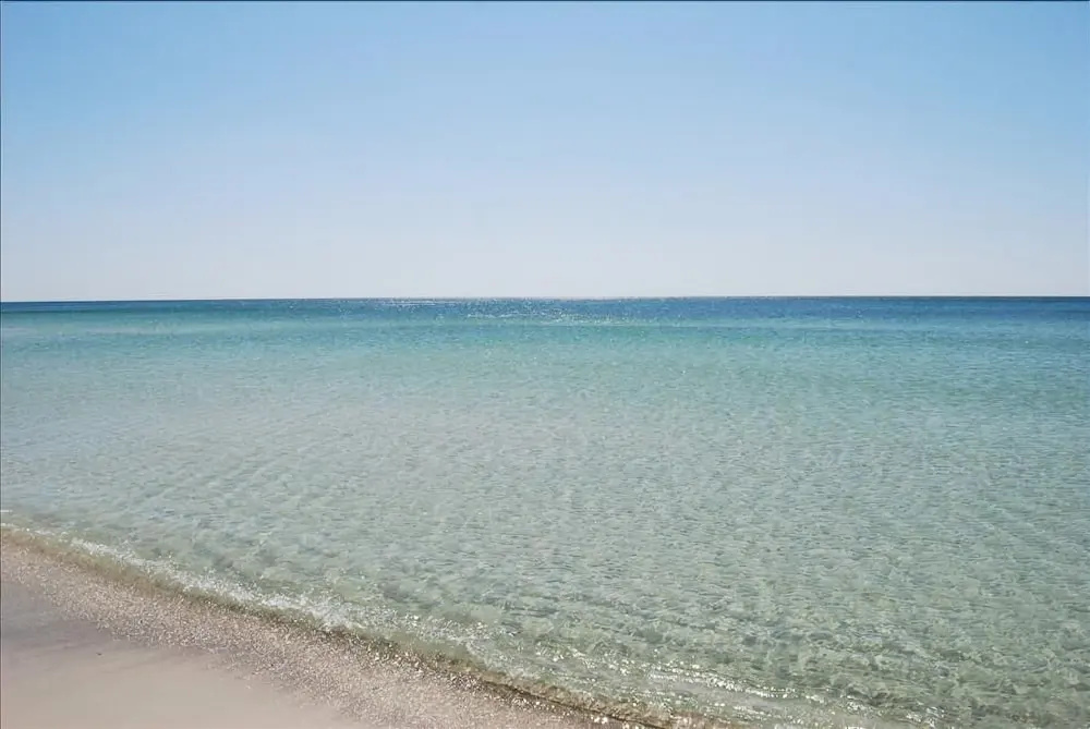 Shoalwater 803