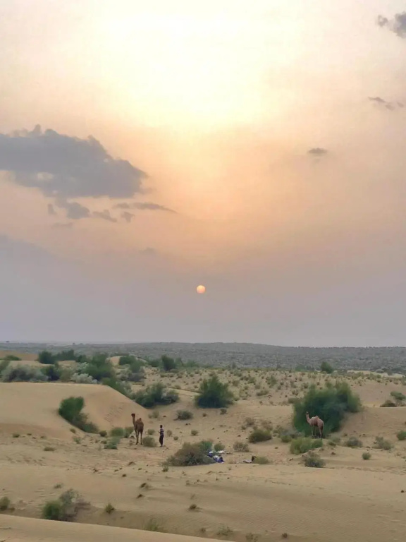 Crazy Camel Hotel & Safari