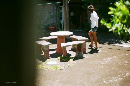 Daydream Hostel