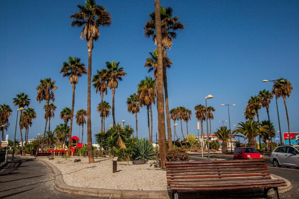 Duplex El Palmar 3P - D31