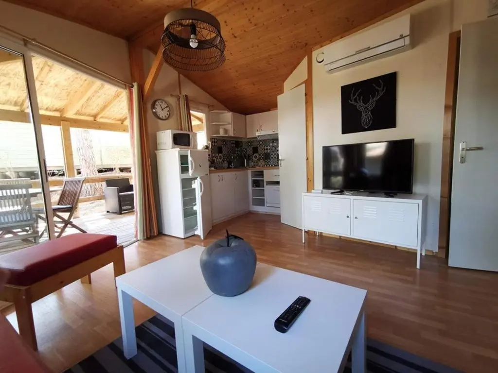 Chalet climatisé avec piscine chauffée et parking dans une pinède calme - FR-1-607-64