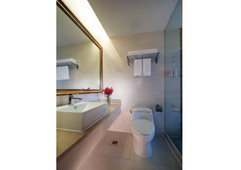 Vienna Hotel Guangzhou Chimelong Dashi Metro Station