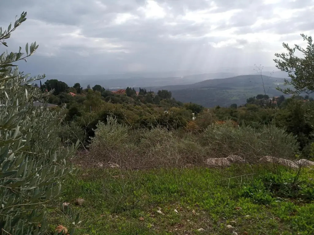 THE HOUSE IN THE OAKS הבית באלונים