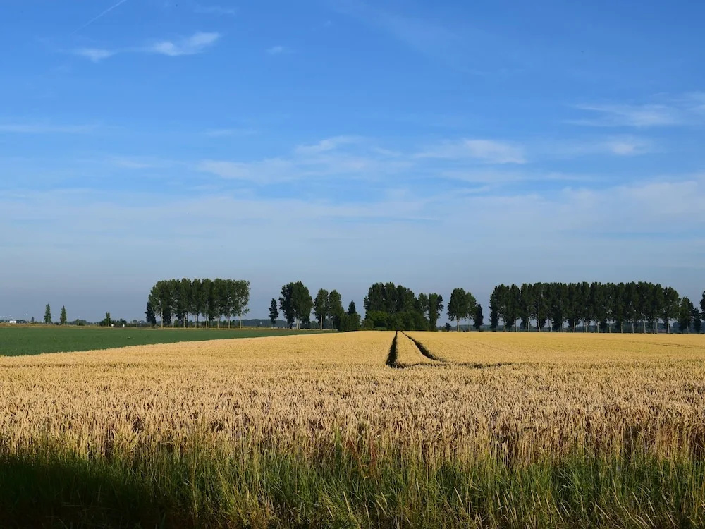 Dike House in Schoondijke near Beaches