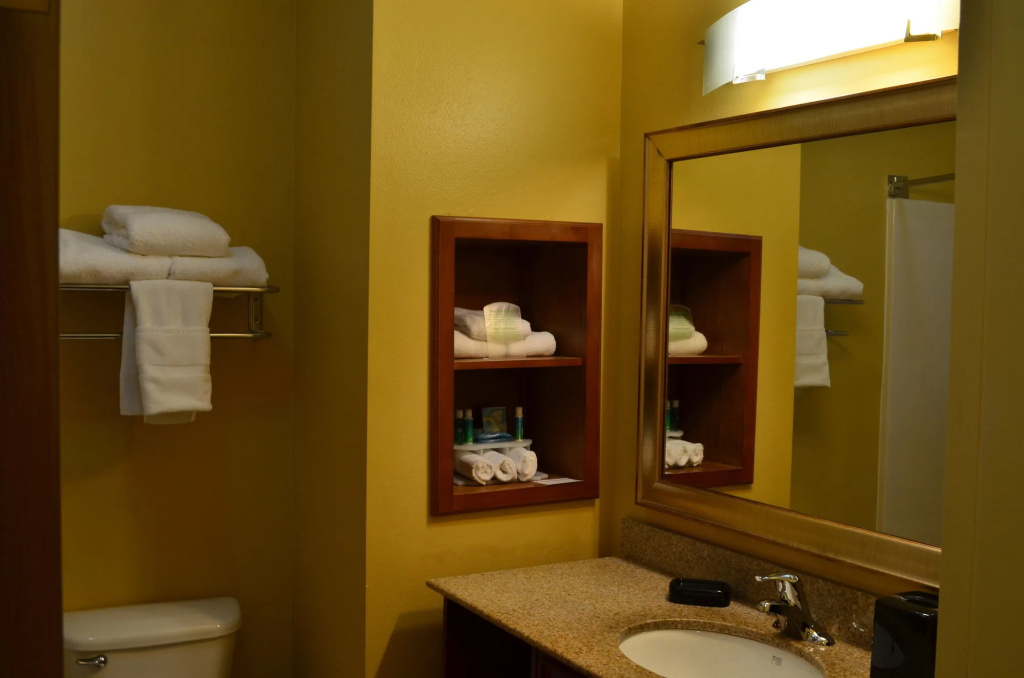 Holiday Inn Express Hotel & Suites Anniston/Oxford by IHG