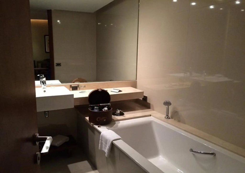 Hotel Dreams Araucania