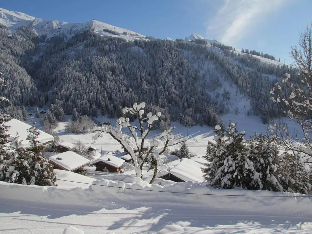 Appartement La Clusaz, 2 pièces, 6 personnes - FR-1-459-47