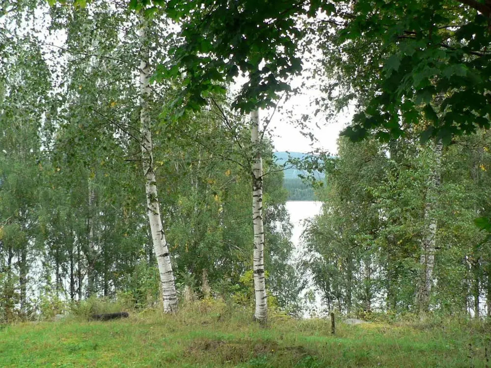 4 Person Holiday Home in Östmark